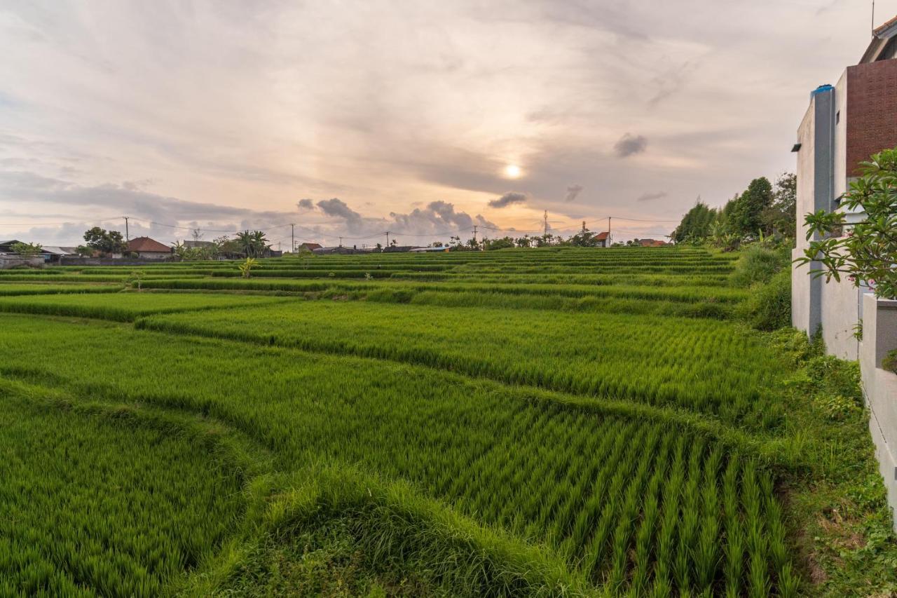 D'Macho Villas Ubud Zewnętrze zdjęcie