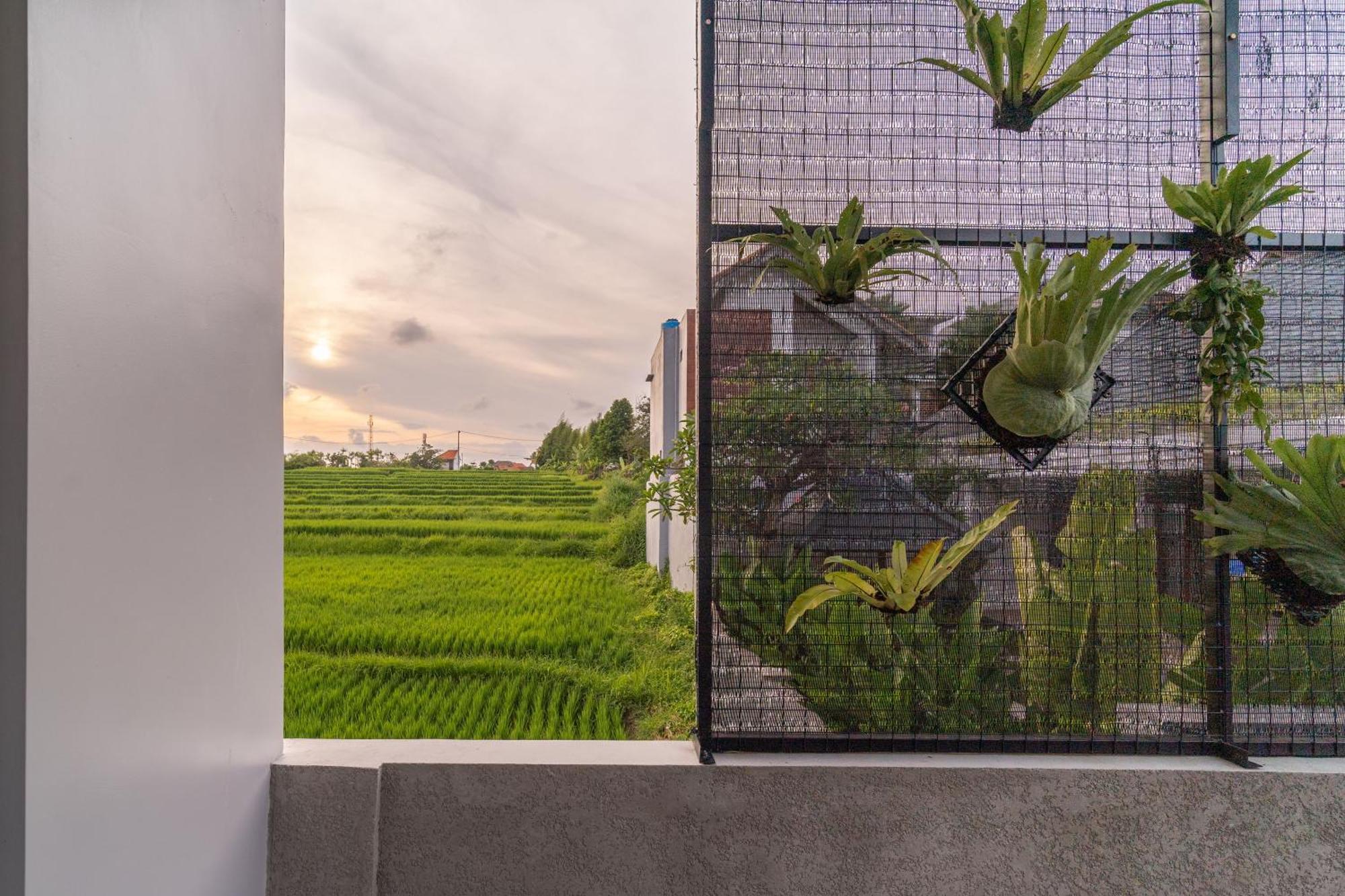 D'Macho Villas Ubud Zewnętrze zdjęcie